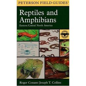 A FIELD GUIDE TO REPTILES AND AMPHIBIANS OF EASTERN AND CENTRAL NORTH AMERICA Conant R.  1975