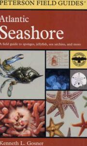 A FIELD GUIDE TO THE ATLANTIC SEASHORE: FROM THE BAY OF FUNDY TO CAPE HATTERAS Gosner K.L.  1979
