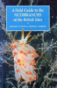 A FIELD GUIDE TO THE NUDIBRANCHS OF THE BRITISH ISLES Picton B.E. Morrow C.C. 1994