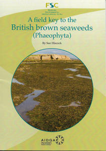A FIELD KEY TO THE BRITISH BROWN SEAWEEDS ( PHAEOPHYTA) Hiscock S.,  2014