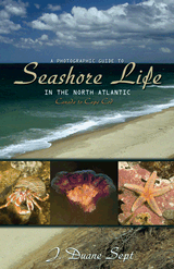 A PHOTOGRAPHIC GUIDE TO SEASHORE LIFE IN THE NORTH ATLANTIC CANADA TO CAP COD Sept J.D.  2008