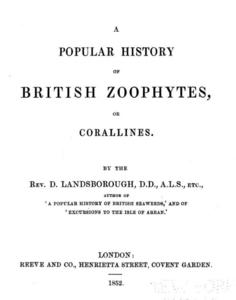A POPULAR HISTORY OF BRITISH ZOOPHYTES OR CORALLINES Landsborough D.  1852