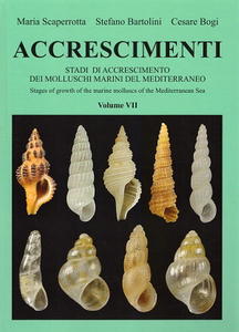 ACCRESCIMENTI VII - Stadi de Accrescimento dei Molluschi Marini del Mediterraneo - Stages of growth of marine molluscs of the Mediterranean Sea Sca...