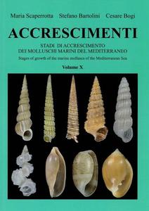 ACCRESCIMENTI X - Stadi de Accrescimento dei Molluschi Marini del Mediterraneo - Stages of growth of marine molluscs of the Mediterranean Sea Scape...