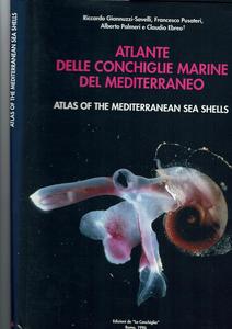 ATLANTE DELLE CONCHIGLIE MARINE DEL MEDITERRANEO - VOLUME 2 - CAENOSGASTROPODA parte 1: Discopoda - Heteropoda Giannuzzi-Savelli R., Pusateri F., P...
