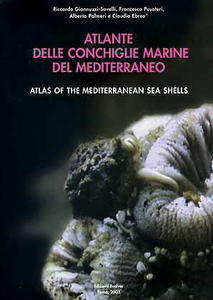 ATLANTE DELLE CONCHIGLIE MARINE DEL MEDITERRANEO - VOLUME 4 - NEOGASTROPODA parte 1 (Muricoidea) Giannuzzi-Savelli, R., Pusateri, F. Palmeri, A., E...