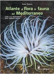 ATLANTE DI FLORA & FAUNA DEL MEDITERRANEO Trainito E.  2008