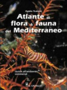 ATLANTE DI FLORA & FAUNA DEL MEDITERRANEO Trainito E.  2004