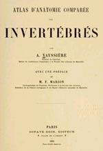 ATLAS D'ANATOMIE COMPARÉE DES INVERTÉBRÉS Vayssière A.  1890