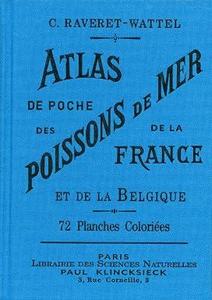 ATLAS DE POCHE DES POISSONS DE MER DE LA FRANCE ET DE LA BELGIQUE Raveret-Wattel C. Bessin A. 2015