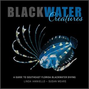 BLACKWATER CREATURES - A guide to southeast Florida blackwater diving Ianniello L., Mears S.  2018