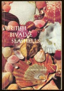 BRITISH BIVALVE SEASHELLS Tebble N.  1976