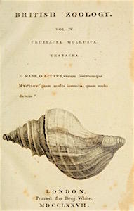 BRITISH ZOOLOGY, vol IV, CRUSTACEA, MOLLUSCA Pennant T.  1777