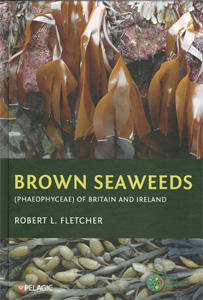 BROWN SEAWEEDS (PHAEOPHYCEAE) OF BRITAIN AND IRELAND Fletcher R.L  2024