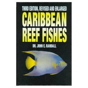 CARIBBEAN REEF FISHES Randall J.E.  1996