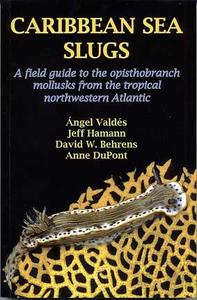 CARIBBEAN SEA SLUGS, a field guide to the opistobranch mollusks from the tropical northwestern Atlantic Valdés A. Hamann J., Behrens D.W., DuPont A...