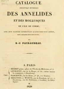 CATALOGUE DESCRIPTIF ET MÉTHODIQUE  DES ANNELIDES ET DES MOLLUSQUES DE L’ÎLE DE CORSE Payraudeau C.  1826