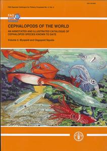 CEPHALOPODS OF THE WORLD. AN ANNOTED AND ILLUSTRATED CATALOGUE OF CEPHALOPOD SPECIES KNOWN TO DATE. Volume 2. Myopsid and Oegopsid Squids Jereb P....