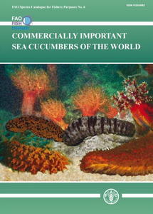 COMMERCIALLY IMPORTANT SEA CUCUMBERS OF THE WORLD Purcell S.W. Samyn Y., Conand C. 2012