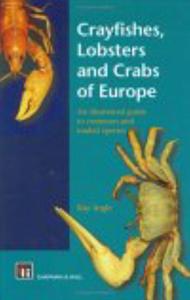 CRAYFISHES, LOBSTERS AND CRABS OF EUROPE : AN ILLUSTRATED GUIDE TO COMMON AND TRADED SPECIES Ingle R.  1997