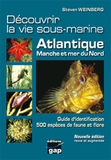 DECOUVRIR LA VIE SOUS-MARINE, ATLANTIQUE, MANCHE ET MER DU NORD, guide d'identification, 500 espèces de faune et flore Weinberg S.  2010