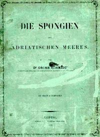DIE SPONGIEN DES ADRIATISCHEN MEERES Schmidt O.  1862