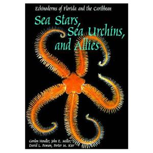 ECHINODERMS OF FLORIDA AND THE CARIBBEAN : SEA STARS, SEA URCHINS AND ALLIES Hendler G. Miller J.E., Pawson D.L., Kier P.M. 1995