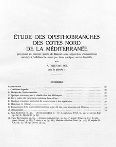 ETUDE DES OPISTHOBRANCHES DES CÔTES NORD DE LA MEDITERRANEE provenant en majeure partie de Banyuls avec adjonction d'échantillon récoltés à Villefr...