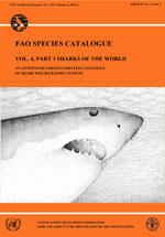 FAO SPECIES CATALOGUE, VOLUME 4, SHARKS OF THE WORLD, AN ANNOTED AND ILLUSTRATED CATALOGUE OF SHARKS SPECIES KNOWN TO DATE PART 1 - HEXANCHIFORMES...