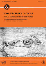 FAO SPECIES CATALOGUE. VOLUME 3 : CEPHALOPODS OF THE WORLD. AN ANNOTED AND ILLUSTRATED CATALOGUE OF SPECIES OF INTEREST TO FISHERIES Roper C.F.E. S...