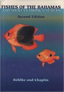 FISHES OF THE BAHAMAS AND ADJACENT TROPICAL WATERS Böhlke J. Chaplin C. 1992