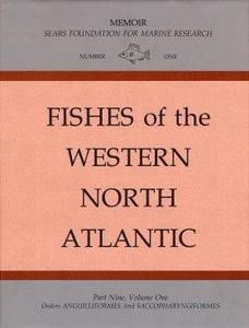 FISHES OF THE WESTERN NORTH ATLANTIC . PART 9 . ORDERS ANGUILLIFORMES AND SACCOPHARYNGIFORMES Böhlke E.B. McCosker J.E., B&ouml;hlke J.E. 1989