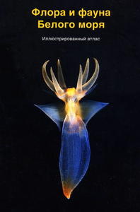 Флора и фауна Белого моря (traduction DORIS : Faune et flore de la mer Blanche) Tsetlin A.B. Zhadan A.E. 2010