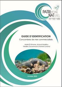 GUIDE D'IDENTIFICATION - CONCOMBRES DE MER COMMERCIALISES Di Simone M., Horellou A., Ducarme F., Conand C.  2022