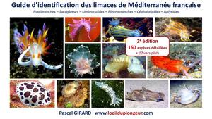 GUIDE D'IDENTIFICATION DES LIMACES DE MEDITERRANEE FRANÇAISE Girard P.  2025