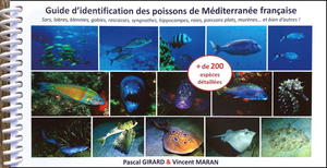 GUIDE D'IDENTIFICATION DES POISSONS DE MÉDITERRANÉE FRANÇAISE Girard P., Maran V. 2023