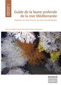 GUIDE DE LA FAUNE PROFONDE DE LA MER MEDITERRANEE :  Explorations des roches et canyons sous-marins des côtes françaises Fourt M. Goujard A., Pérez...
