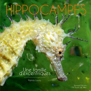 HIPPOCAMPES - UNE FAMILLE D'EXCENTRIQUES Louisy P.  2019