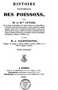 HISTOIRE NATURELLE DES POISSONS TOME 10 Cuvier G. Valenciennes M. 1835