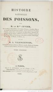HISTOIRE NATURELLE DES POISSONS TOME 11 Cuvier G. Valenciennes M. 1836