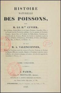 HISTOIRE NATURELLE DES POISSONS TOME 20 Cuvier G. Valenciennes M. 1847