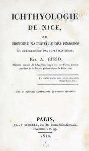  ICHTHYOLOGIE DE NICE, OU, HISTOIRE NATURELLE DES POISSONS DU DÉPARTEMENT DES ALPES MARITIMES Risso A.  1810