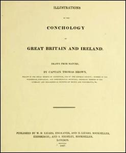 ILLUSTRATIONS OF THE CONCHOLOGY OF GREAT BRITAIN AND IRELAND. DRAWN FOR NATURE Brown T.  1827