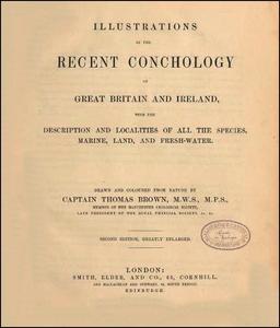 ILLUSTRATIONS OF THE RECENT CONCHOLOGY OF GREAT BRITAIN AND IRELAND Brown T.  1844