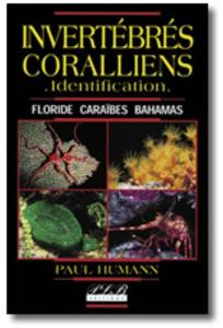 INVERTEBRES CORALLIENS - IDENTIFICATION - FLORIDE, CARAIBES, BAHAMAS Humann P.  2000