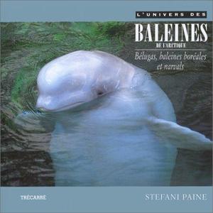 L’UNIVERS DES BALEINES DE L’ARCTIQUE : BÉLUGAS, BALEINES BORÉALES ET NARVALS Paine S.  1997