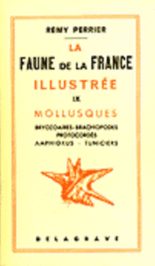 LA FAUNE DE LA FRANCE ILLUSTREE, TOME IX, BRYOZOAIRES, BRACHIOPODES, MOLLUSQUES, PROTOCORDES (AMPHIOXUS, TUNICIERS) Perrier R.  1930