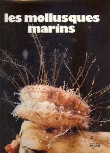 LES MOLLUSQUES MARINS Gaillard J.M.  1979