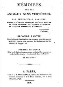 MEMOIRES SUR LES ANIMAUX SANS VERTEBRES Savigny J. C.  1816
