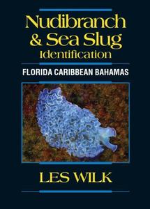 NUDIBRANCH & SEA SLUG IDENTIFICATION - Florida Caribbean Bahamas Wilk L.  2026